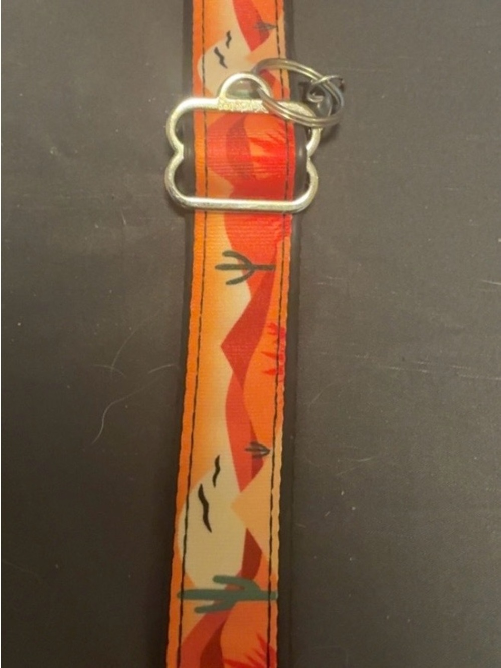 Desert Print Orange Dog Collar with Sturdy Metal Hardware